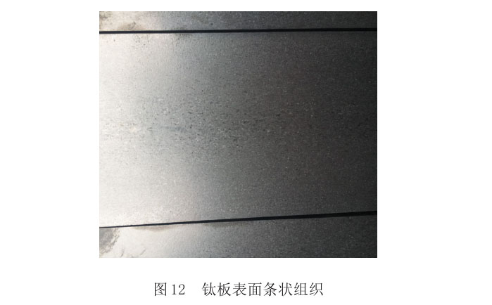 钛板理论条状组织