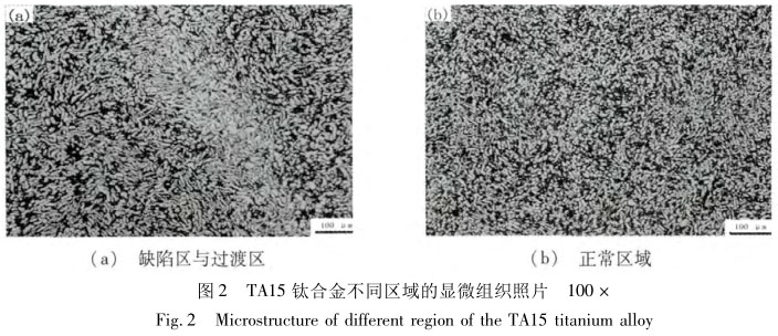 TA15钛合金分歧区域的显微组织照片 TA15钛合金分歧区域的显微组织照片
