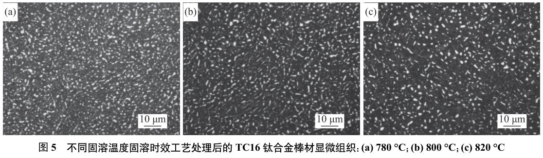 1688356938121401.jpg 360截图16330101111133125.jpg