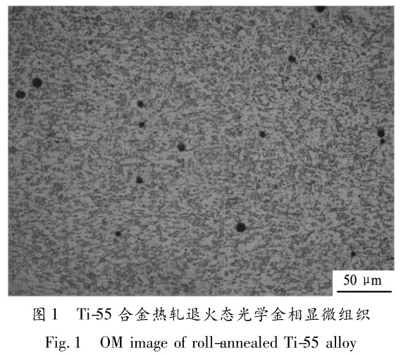 1713442853212180.jpg 未标题-1.jpg