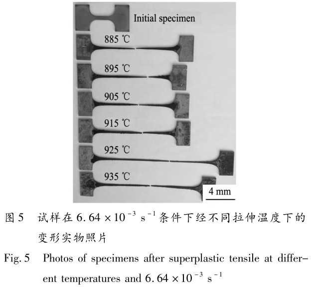 1713442895151231.jpg 未标题-5.jpg
