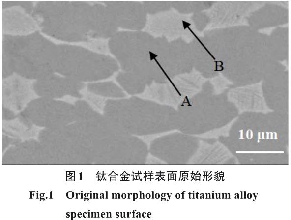 1722308255371054.jpg 360截图16530715387450.jpg