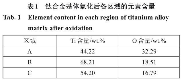 1722308293317371.jpg 360截图165603159194126.jpg