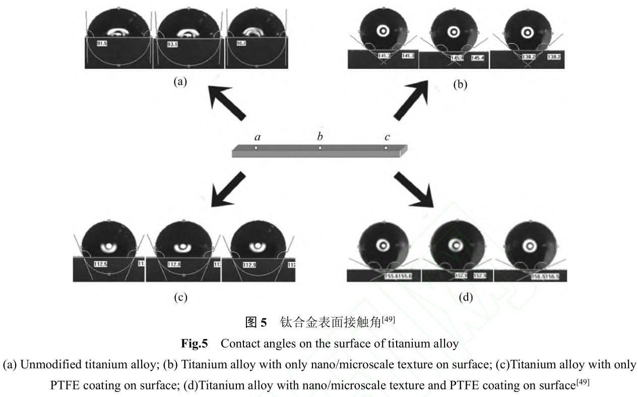 1729739706606566.jpg 360截图16510927112109130.jpg
