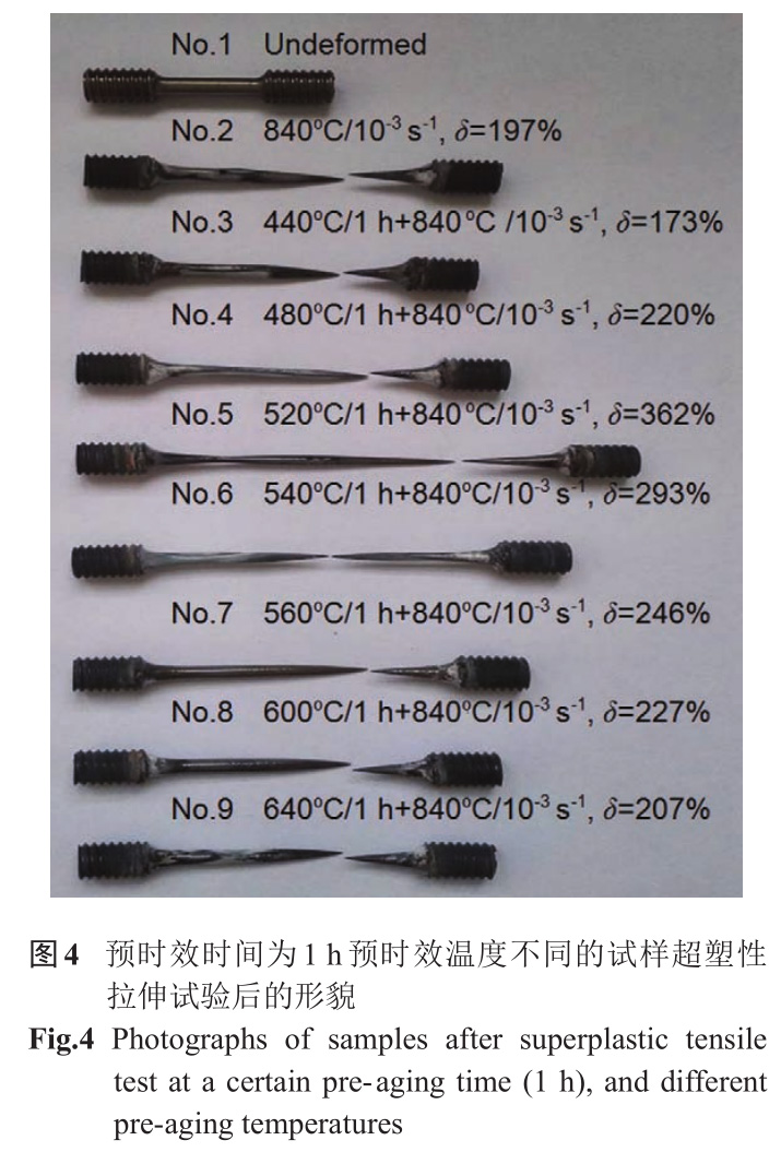 1733194240568631.jpg 未标题-7.jpg